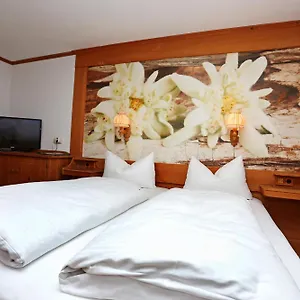 Hotel Lustiger Hirsch